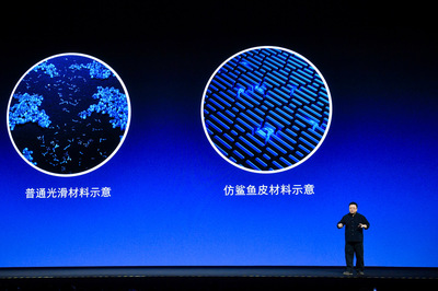 咸鱼翻身还是鲨鱼出海？罗永浩的科技新征途